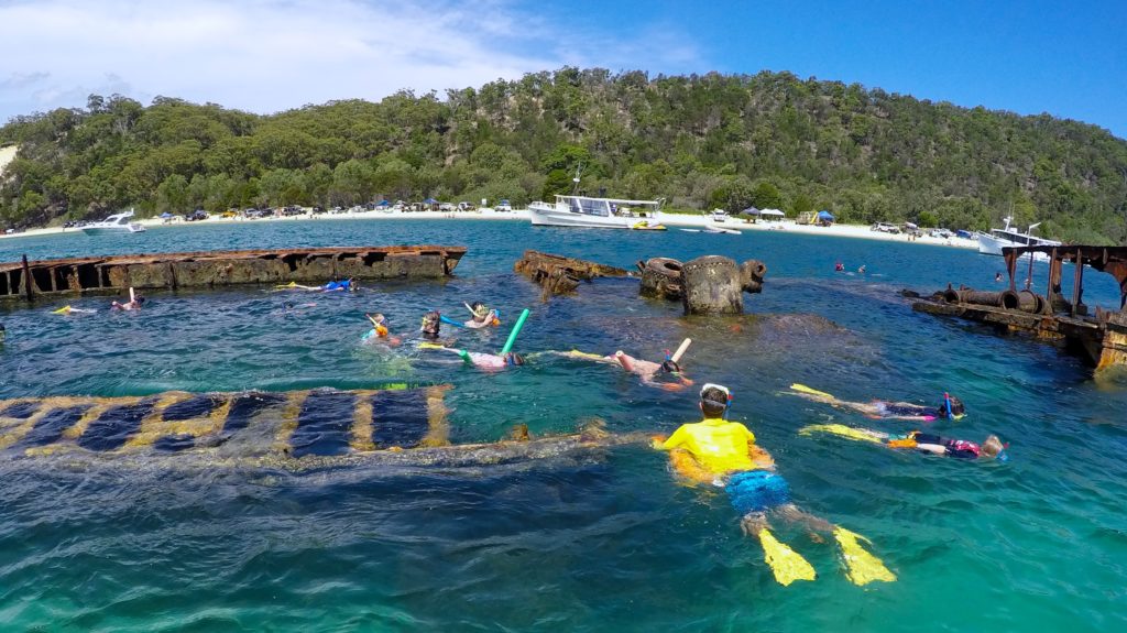 Best Beach Snorkelling Spots In Australian Tangalooma Wrecks