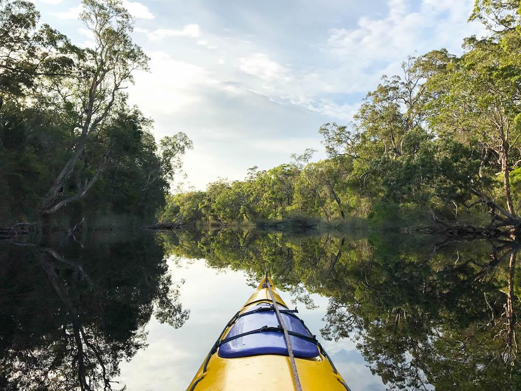Best Kayaking Locations In Queensland Noosa Everglades