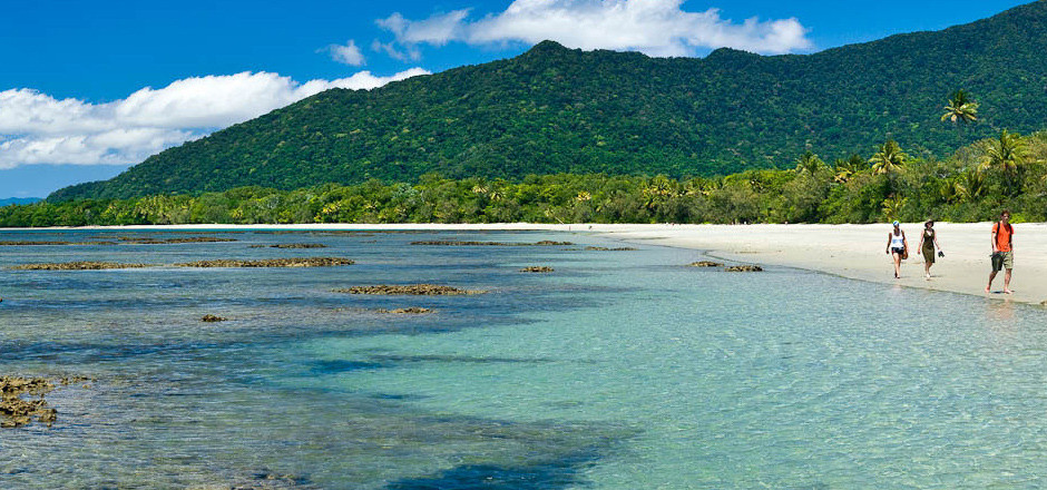 Beautiful Rainforest Beachside Locations In Queensland Cape Tribulation