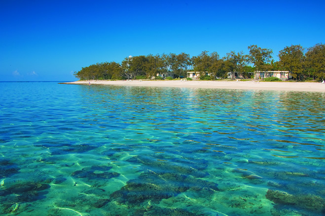 Best Beach Snorkelling Locations On The Great Barrier Reef Lady Elliot Island