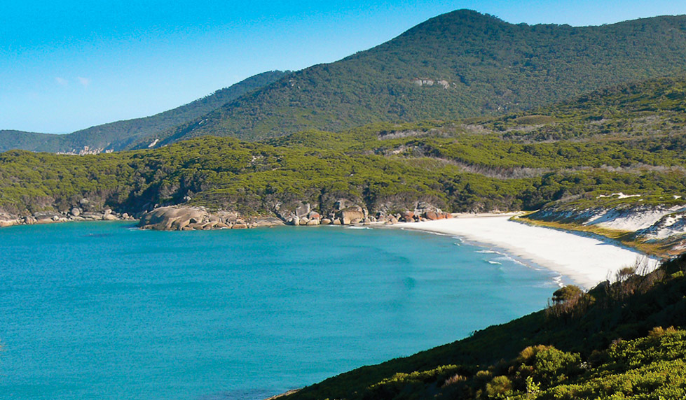 Most Beautiful Beaches On The East Coast Of Australia Squeaky Beach Wilsons Promontory Victoria