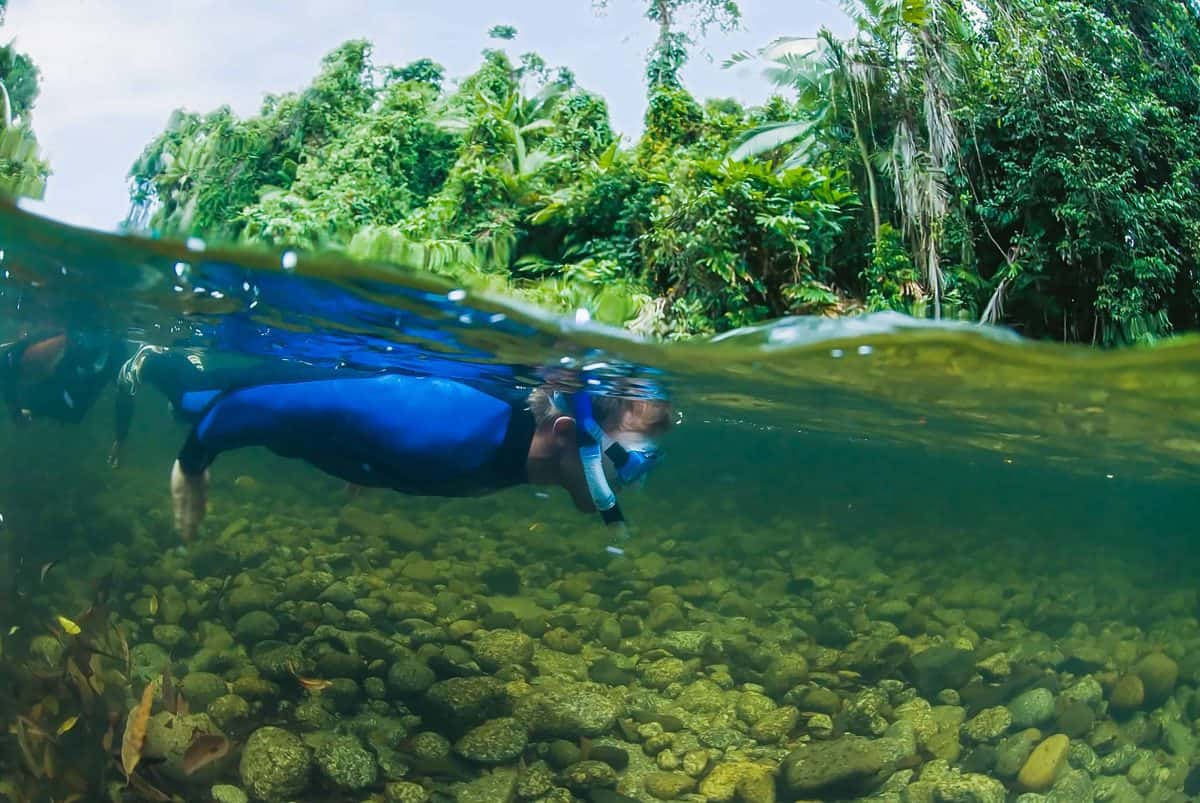 Best Snorkelling Spots Near Cairns Mossman River Mossman