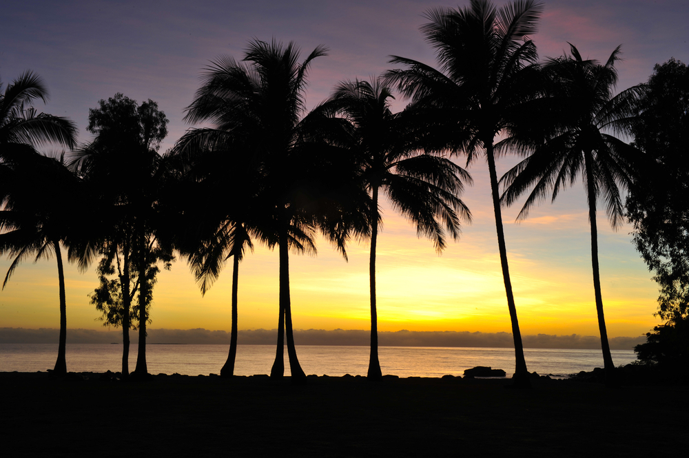 Best Places to Watch The Sunset Rex Smeal Park Port Douglas