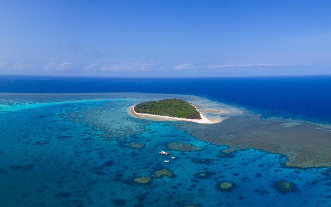 Four Amazing Island Camping Locations in Queensland Lady Musgrave Island