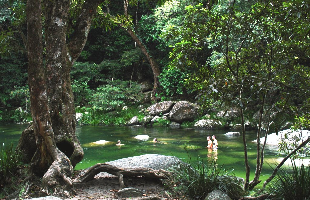 Four Incredible Rainforest Walks Near Cairns Mossman Gorge