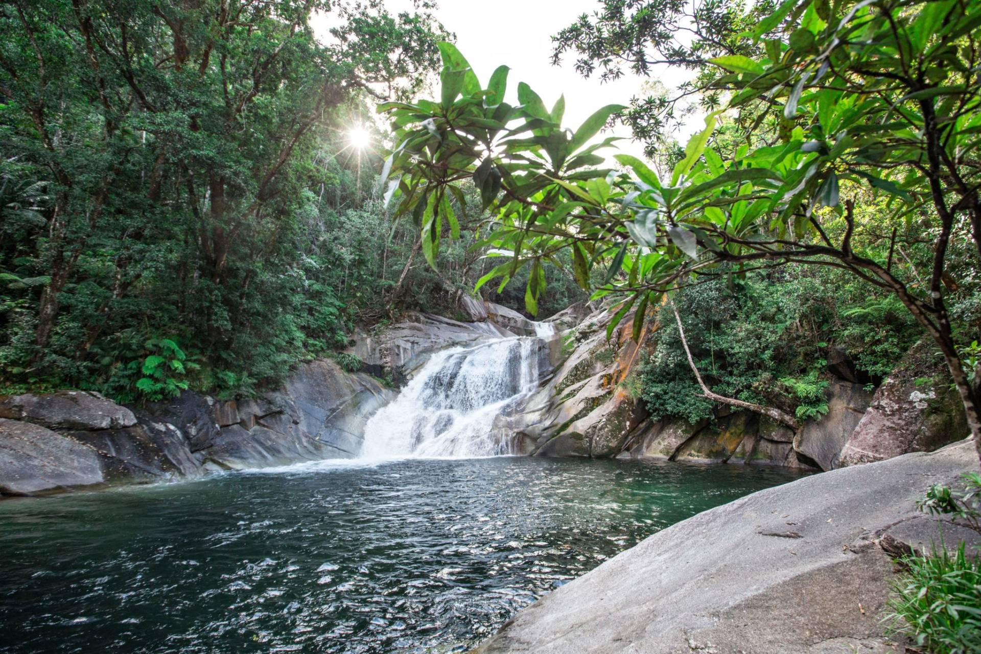 Four Incredible Rainforest Walks Near Cairns Mount Bartle Frere