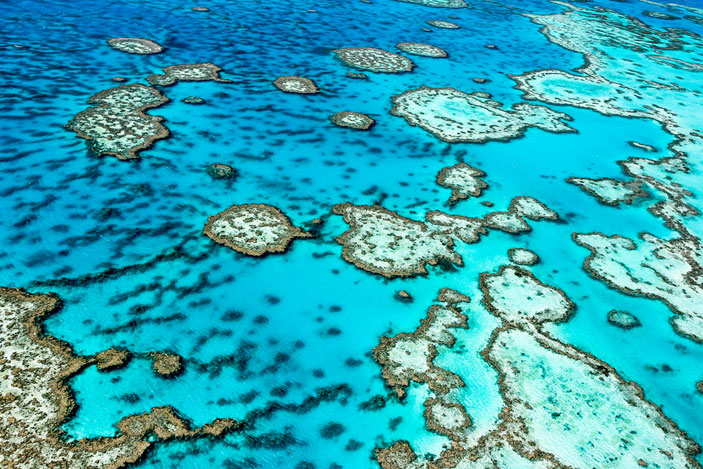 The Great Barrier Reef