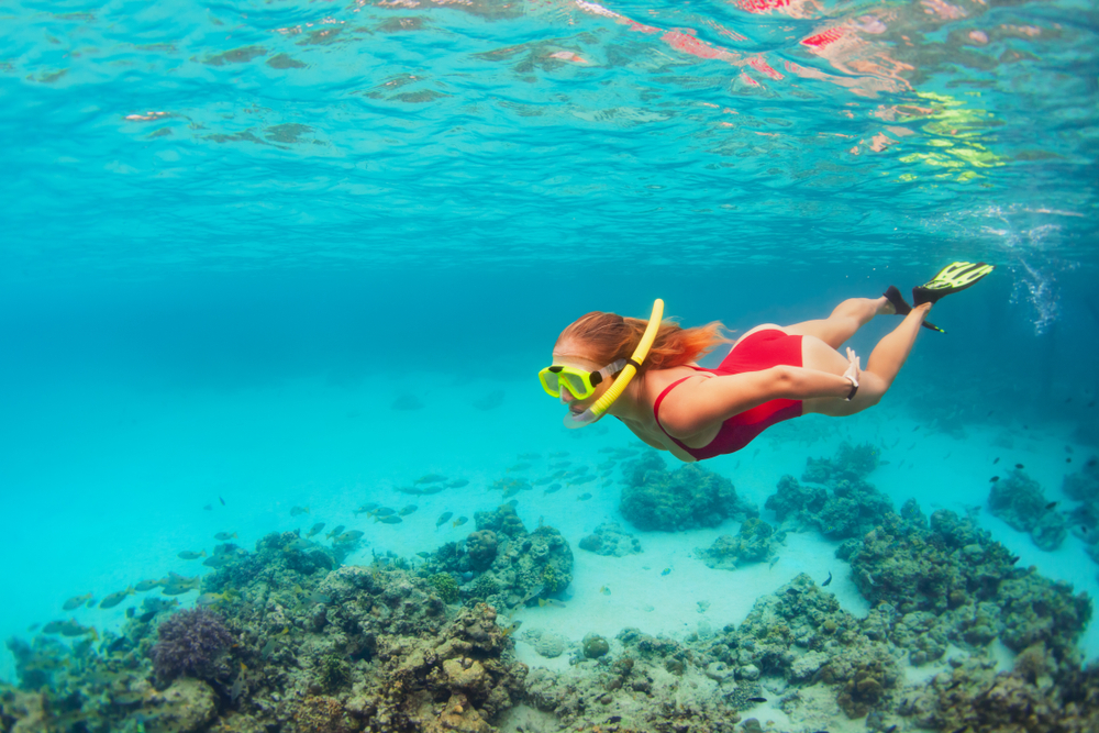 Amazing Island Snorkelling Locations on the Great Barrier Reef
