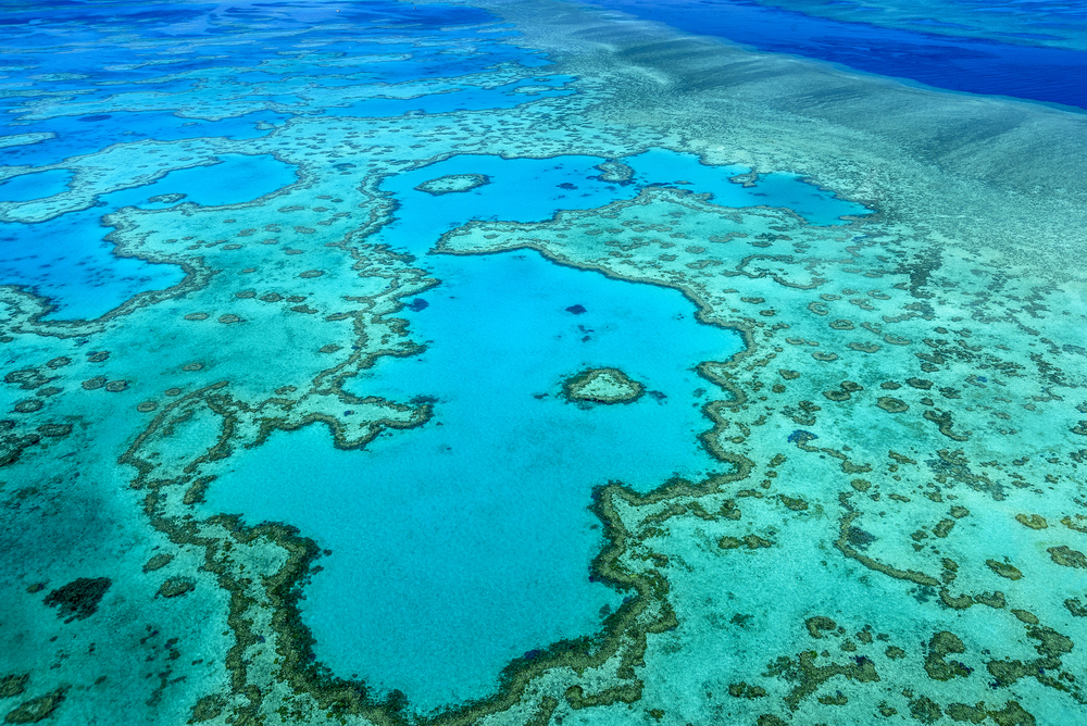 Why Visiting the Great Barrier Reef Should Be on Your Bucket List