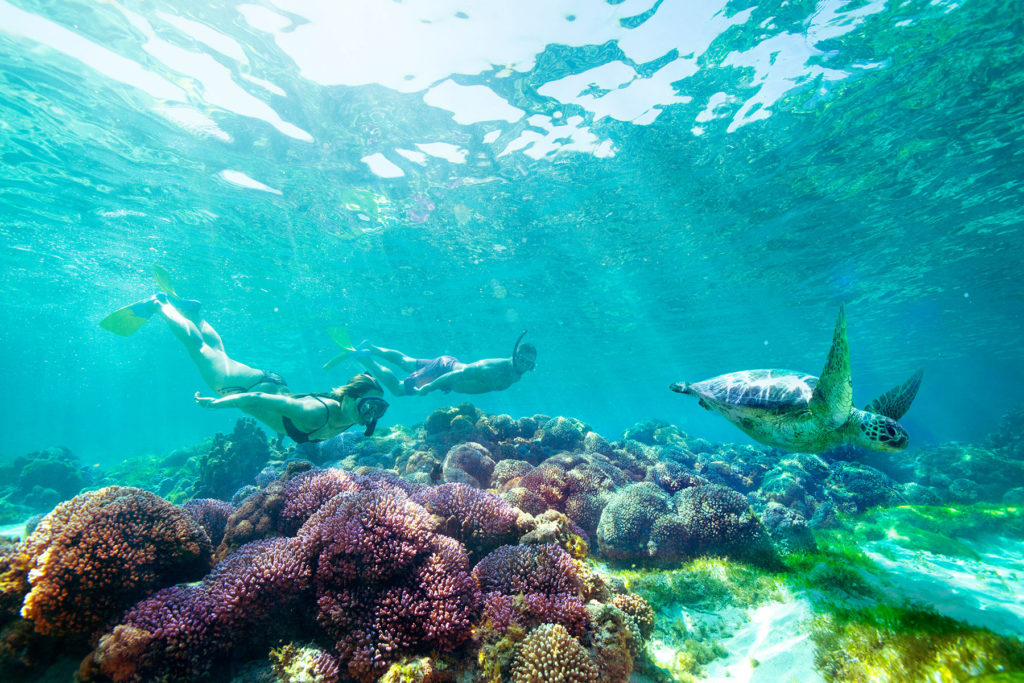 Eight Spectacular Snorkelling Spots on Australia's East Coast Lord Howe Island