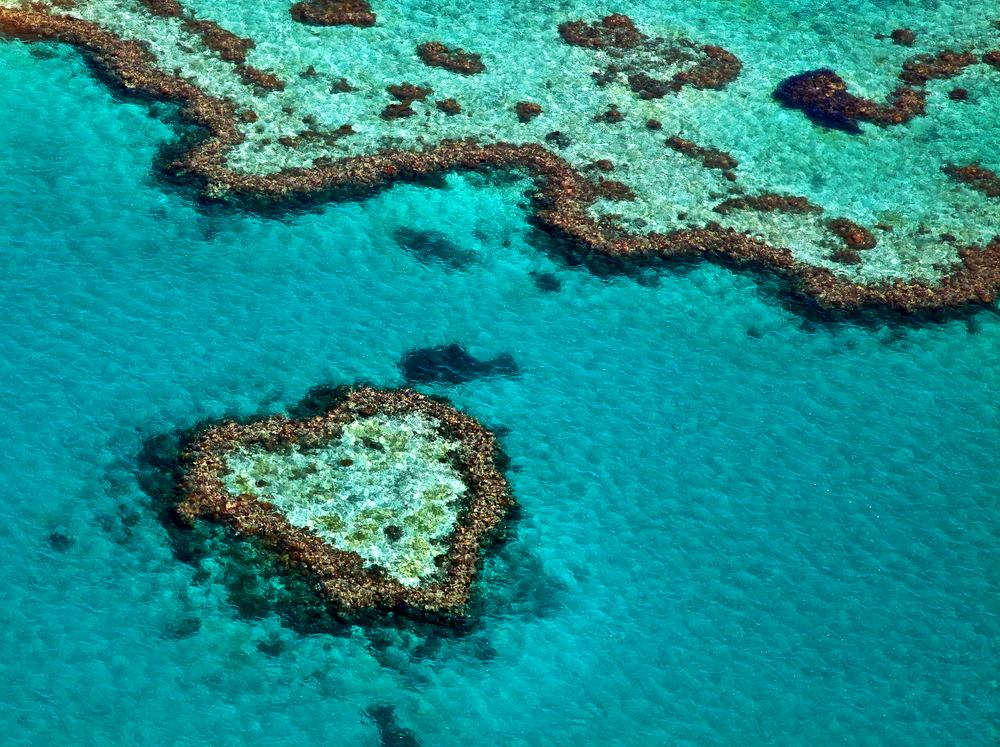 10 Reasons Why You Must Visit Queensland's Great Barrier Reef