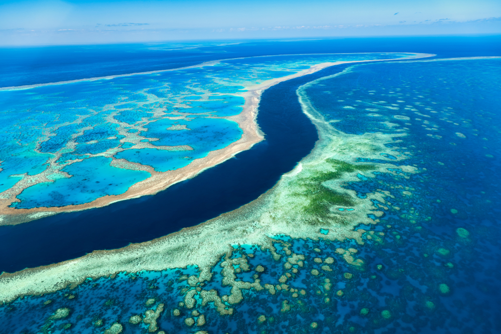 great barrier relief