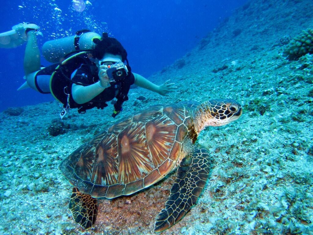 scuba diver filming a sea turtle under water.